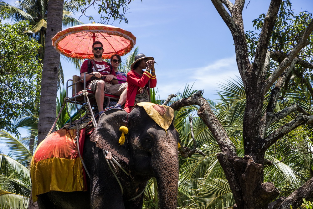 象園（エレファントビレッジ)にて本格的象乗り